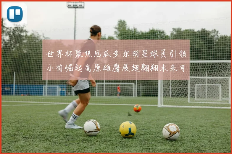 世界杯聚焦厄瓜多尔明星球员引领小将崛起高原雄鹰展翅翱翔未来可期